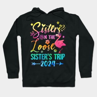 Sister On The Loose Cute Sisters Trip 2024 Weekend Flamingo Hoodie